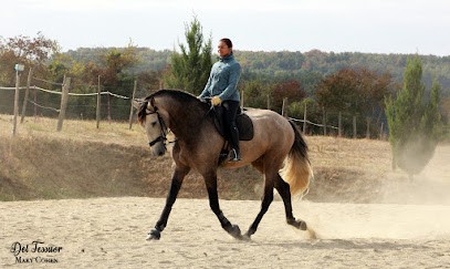 Domaine Del Tessuor - Lieu-dit Rousset 81310 Lisle Sur Tarn, Centre Equestres à Lisle-sur-Tarn