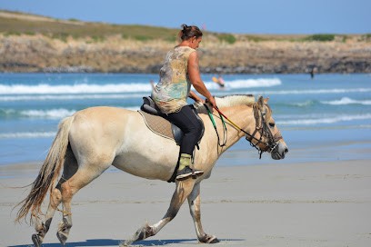 Equestrian Center De La Torche, Centre Equestres à Plomeur