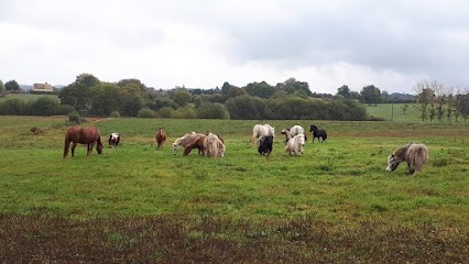 CENTRE EQUESTRE DU GASSEAU, Centre Equestres à Saint-Léonard-des-Bois
