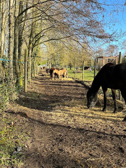 Le Paradis D'ExCoBaï, Pension pour Chevaux à Goudelancourt-lès-Berrieux