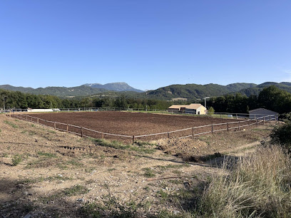 Les Écuries De La Condamine Pension Pour Chevaux à Aiglun