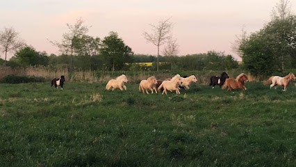Pony Club Des Champs Bleuets, Centre Equestres à Étinehem-Méricourt