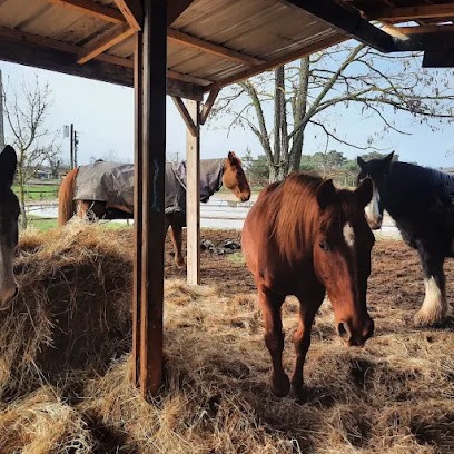 Genon equestrian sport, Centre Equestres à Mardié