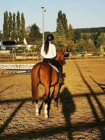 A S E DU BOIS DE LA NOUE, Centre Equestres à Chaumontel