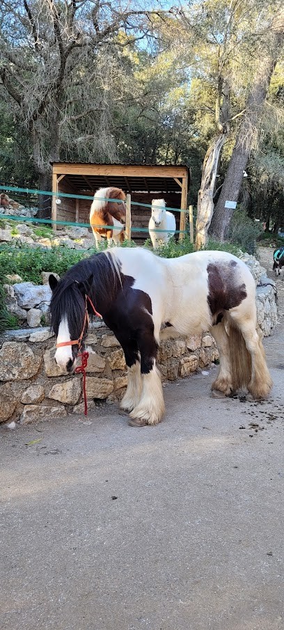 Equestrian Center La Loubière, Centre Equestres à La Colle-sur-Loup