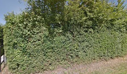 Stud Des Coudrettes, Centre Equestres à Cesny-aux-Vignes