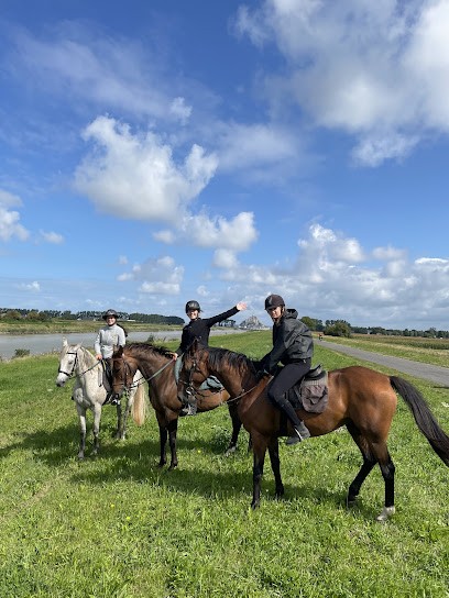 La Taniere Randonnee A Cheval Mont St Michel, Centre Equestres à Pontorson
