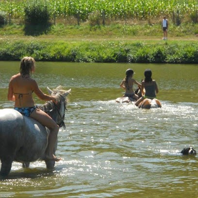 Horse Farm Au Paradis Des Chevaux, Centre Equestres au Rouget-Pers