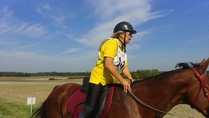 Ecuries des Agriers, Centre Equestres à Ambleville