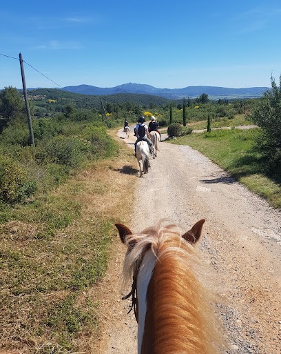 Equestrian Center La Croupade, Centre Equestres à Clermont-l'Hérault