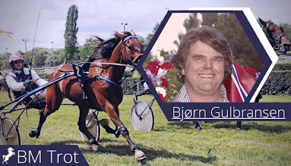 Bm Trot Centre Équestre au Pin-au-Haras