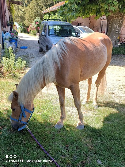 Club Hippique, Centre Equestres aux Abrets en Dauphiné