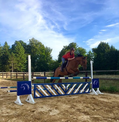 Manoir Des Roques, Pension pour Chevaux à Saint-Ouen-de-Thouberville