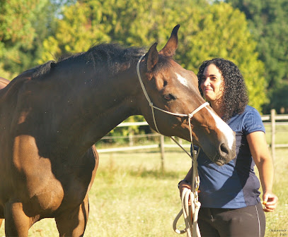 Equirelation, Pension Pour Chevaux à Chaillac