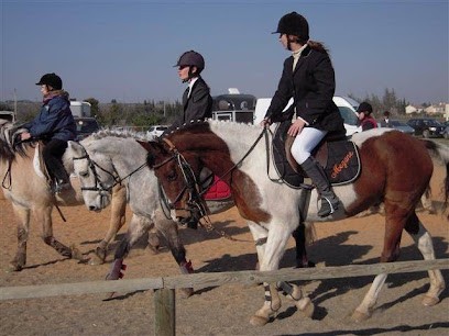 CENTRE EQUESTRE PONEY CLUB DES COSTIERES, Centre Equestres à Saint-Andiol