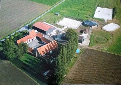 Les Écuries de la Marliere, Pension pour Chevaux à Linselles