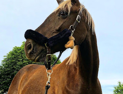 Ferme Du Pinier, Pension Pour Chevaux à Liorac-sur-Louyre