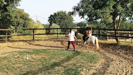Mdme Stables, Centre Equestres à Grimaud