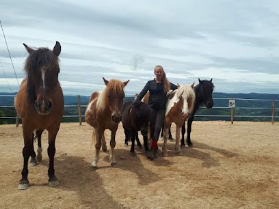 Club Equestrian De La Ferm'eden, Centre Equestres à Lamastre