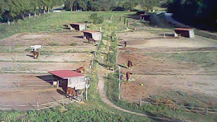 Stables Team De Laur, Centre Equestres à Vailhauquès