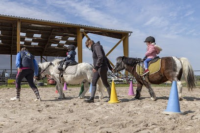 Poney Club Des 5 Arpents, Centre Equestres à Cléry-Saint-André