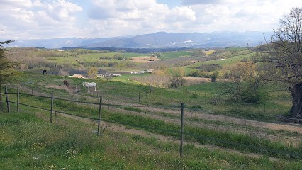Ecuries des Chênes, Pension pour Chevaux à Geyssans