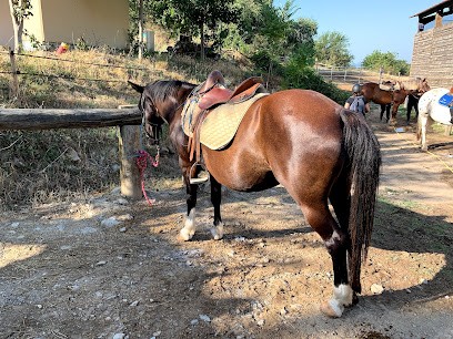 Equestrian Center Du Rouret, Centre Equestres à Grospierres