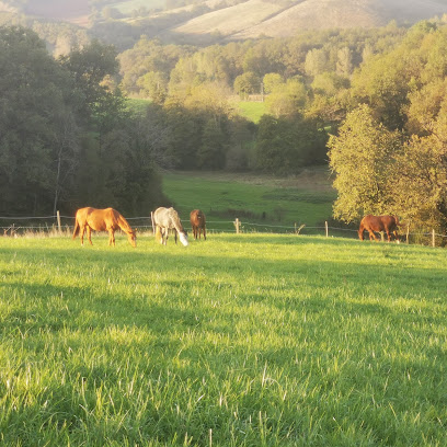 Domaine Le Pioch, Pension Pour Chevaux à Terre-de-Bancalié