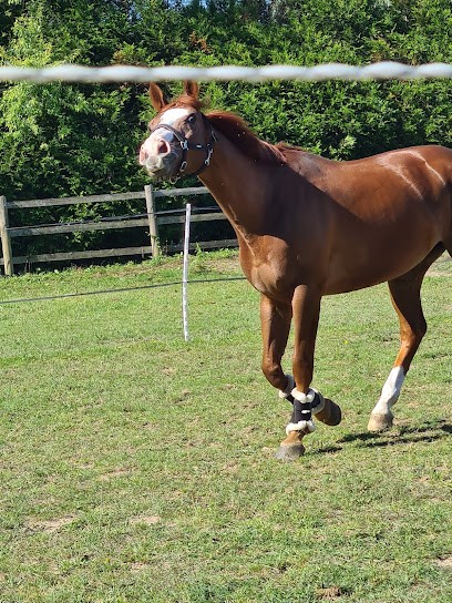 Ecurie Aurelien Ghennam, Centre Equestres à Rouvres