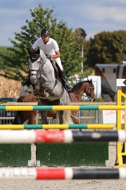 Pg Team Equitation Centre Equestre Ribeauvillé, Centre Equestres à Ribeauvillé