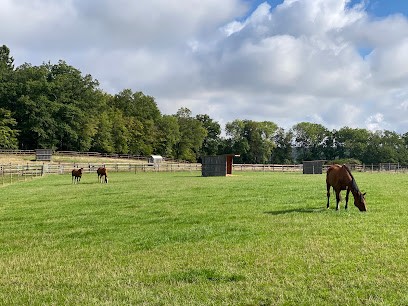 Pension Du Rouloir, Pension pour Chevaux à Glisolles