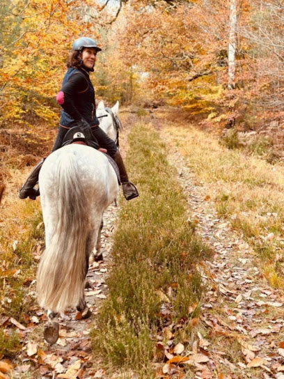 Equitation À Domicile - Nathalie Centre Équestre à Adainville