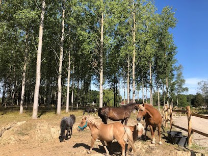 Caval'brouck, Centre Equestres à Éperlecques
