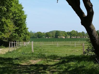 Ecurie De La Morinière, Pension pour Chevaux à Saint-Maurice-le-Girard