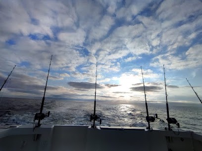 L'embellie, Centre Equestres à Lège-Cap-Ferret