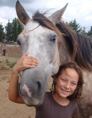 Domaine équestre De Pommayrac, Centre Equestres à Verzeille