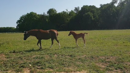 Gite Monestier, Centre Equestres à Vernon