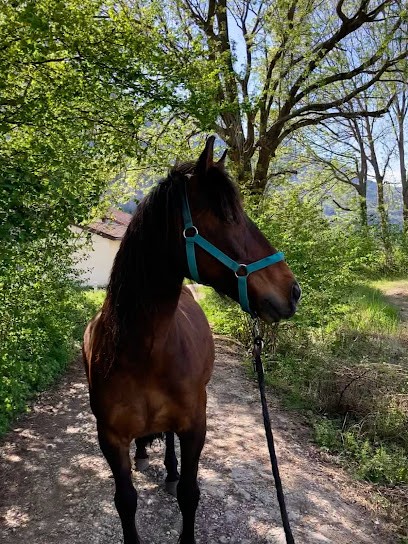 Equestrian Farm Du Vercors, Centre Equestres à Sassenage