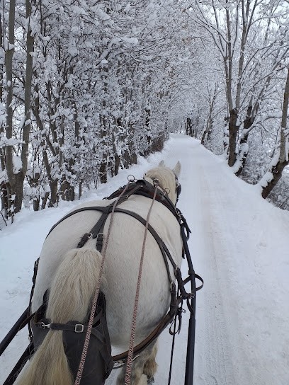 Garnier Lucie - Centre Equestre Les Petits Lu, Centre Equestres à La Rochette