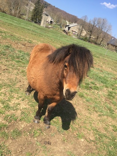 Farm Equestre De Lavant, Centre Equestres à Aranc