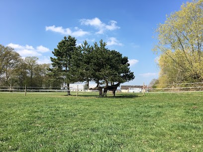 Domaine Equestre De Mirbel, Centre Equestres à Longnes