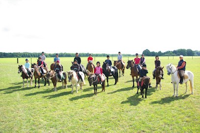 Haras Des Ô, Centre Equestres à Saint-Étienne-sous-Bailleul