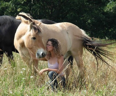 FERME DE CHANTEBLE, Centre Equestres à Saint-Uze