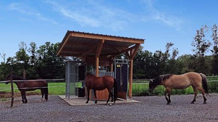Ferme Des Acacias, Pension pour Chevaux à Schaffhouse-près-Seltz