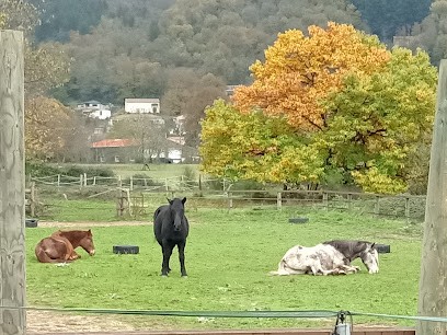 L'Ecrin de Gaia, Centre Equestres à Thueyts
