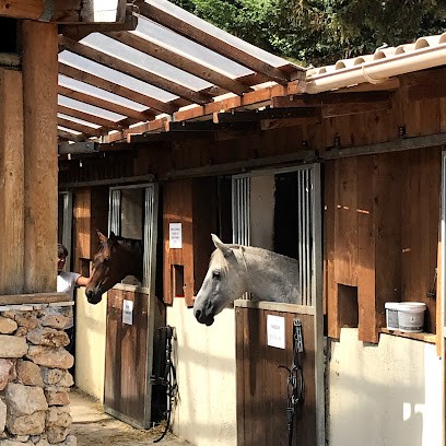 Les écuries de la Fouan, Pension pour Chevaux à Châteauneuf-Grasse