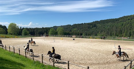 Equestrian Center Le Buisson, Centre Equestres à Saint-Pal-de-Mons