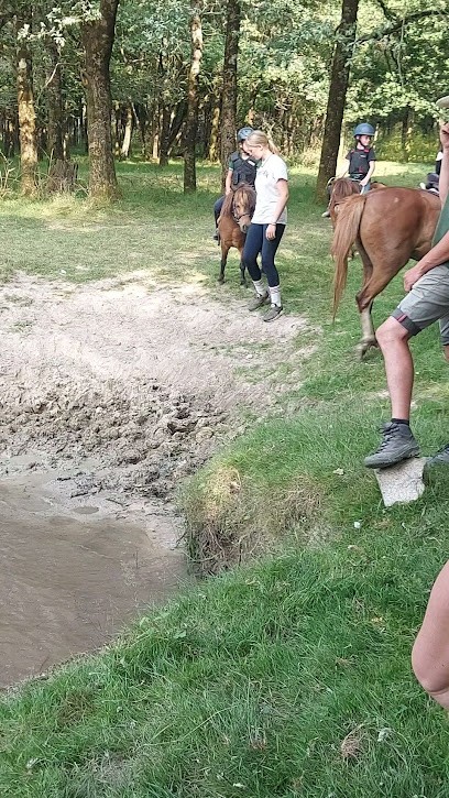Ferme Equestre Du Derre, Centre Equestres à La Genétouze
