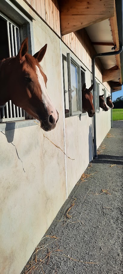 Haras Des Grands Chênes, Centre Equestres à Saint-Gatien-des-Bois