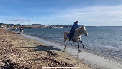 Adventure Horse - Point Departure Hiking, Centre Equestres à La Crau